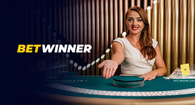 Exploring Betwinner Partners A Comprehensive Guide